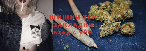 шишки Надым