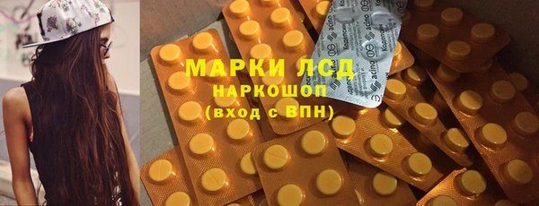шишки Надым